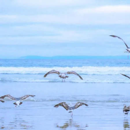 Daire Beachside Escape W Terrace Julianadorp