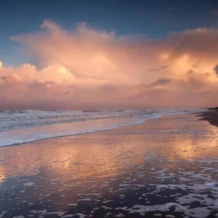 Beachside Escape W Terrace Appartement