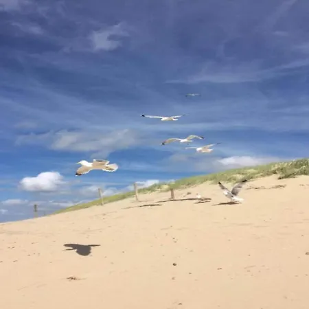 Daire Beachside Escape W Terrace