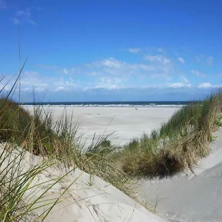 Beachside Escape W Terrace Daire *