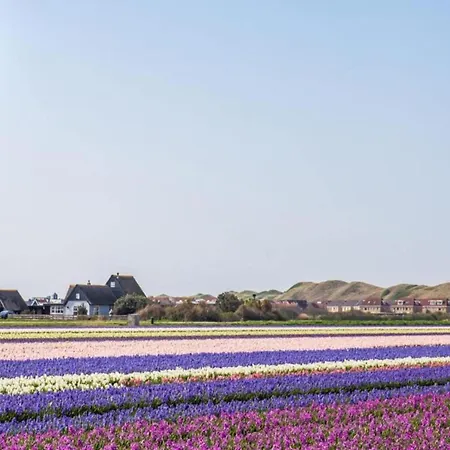 Beachside Escape W Terrace * Julianadorp